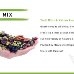 hat tong hop natures garden organic trail mix 816g 24 goi nho knwd