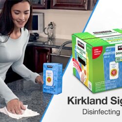 Khăn giấy diệt khuẩn Kirkland Signature Disinfecting Wipes Hộp 4 gói (304 tờ) 17 khan giay diet khuan kirkland signature disinfecting wipes hop 4 goi 304 to kh