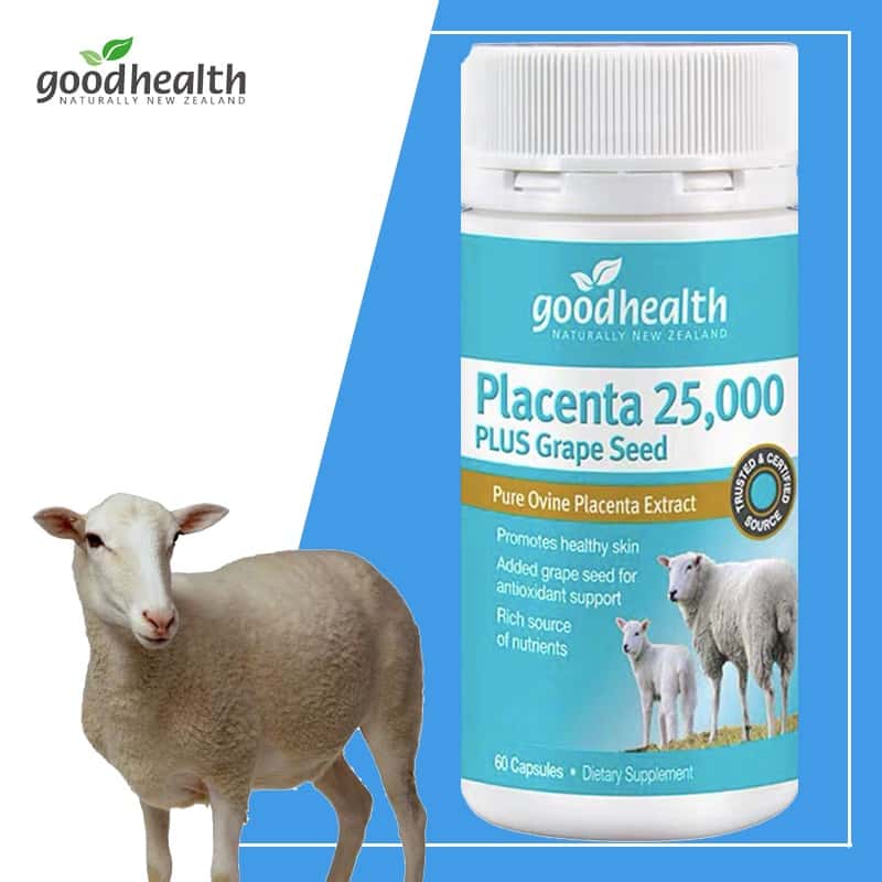 Nhau thai cừu Goodhealth Placenta 25000 Plus Grape Seed 60 viên – Wowmart  VN | 100% hàng ngoại nhập