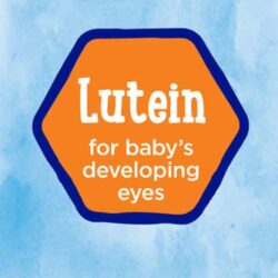 sua bot cho be kirkland signature procare non gmo infant 1 2kg ko