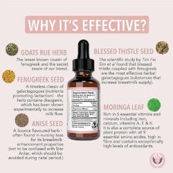 Tăng cường tiết sữa cho mẹ đang cho con bú Benevolent Lactation Support 60ml 11 tang cuong tiet sua cho me dang cho con bu benevolent lactation support 60ml kd