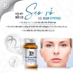 Tế bào gốc làm đầy sẹo rỗ, sẹo lõm NuEssential Serum Scar Control 5ml 5 te bao goc dac tri seo ro seo lom nuessential serum scar control 5ml ka