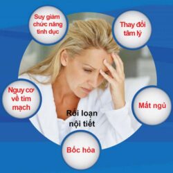 Tinh dầu hoa anh thảo Goodhealth Evening Primrose Oil (EPO) 1000mg 70 viên 9 tinh dau hoa anh thao goodhealth evening primrose oil epo 1000mg 150 vien ka