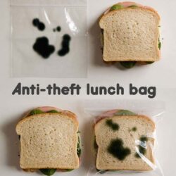 tui zip dung thuc pham banh mi sandwich ziploc 580 cai kd