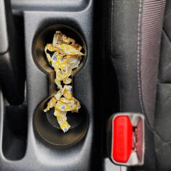 Kẹo Halls thông cổ, mát họng Halls Relief Cherry 200 viên 11 keo halls thong co mat hong halls relief cherry 200 vien 251024 ke