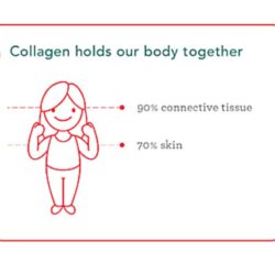 Sữa socola Collagen Peptides Further Food Chocolate Collagen Peptides 616g 13 sua socola collagen peptides further food chocolate collagen peptides 616g ka