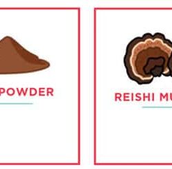 Sữa socola Collagen Peptides Further Food Chocolate Collagen Peptides 616g 17 sua socola collagen peptides further food chocolate collagen peptides 616g kf