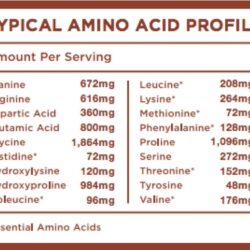 Sữa socola Collagen Peptides Further Food Chocolate Collagen Peptides 616g 21 sua socola collagen peptides further food chocolate collagen peptides 616g kh