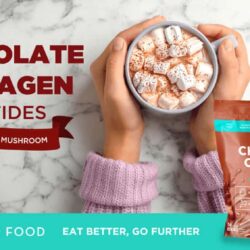Sữa socola Collagen Peptides Further Food Chocolate Collagen Peptides 616g 20 sua socola collagen peptides further food chocolate collagen peptides 616g kj