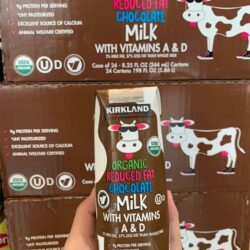 Sữa socola ít béo Kirkland Signature Organic Reduced Fat Chocolate Milk 244ml x 24 hộp 7 sua socola it beo kirkland signature organic reduced fat chocolate milk 244ml x 24 hop kc
