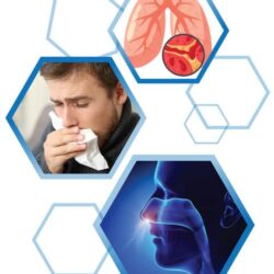 vien uong tri ho long dom kirkland signature mucus relief chest 400 vien kb