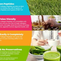 bot collagen protein huu co orgain keto collagen protein chocolate 500g kg