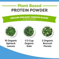 bot protein thuc vat huu co orgain organic protein greens 882g chocolate kb