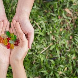 Kẹo dẻo gấu trái cây Black Forest Gummy Bears 1.02kg (24 gói nhỏ) 13 keo deo gau trai cay black forest gummy bears 1 02kg 24 goi nho kd