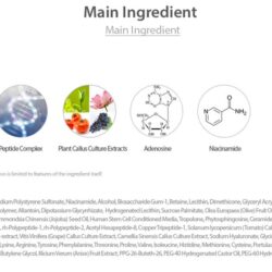 set duong da cao cap pion tech full size giup tre hoa lan da 5 mon 2kc