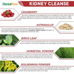 Viên uống bổ thận NusaPure Kidney Cleanse 60 Capsules 12 vien uong bo than nusapure kidney cleanse 60 vien kc