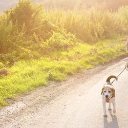 Viên uống hỗ trợ khớp Vitamin World Triple Strength Joint Mover 180 viên 7 vien uong ho tro khop vitamin world triple strength joint mover 180 vien kb