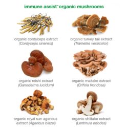 Viên uống tăng cường hệ miễn dịch Youtheory Immune+ 150 Capsules 11 vien uong tang cuong he mien dich youtheory immune 150 capsules kd