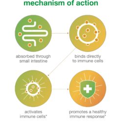 Viên uống tăng cường hệ miễn dịch Youtheory Immune+ 150 Capsules 10 vien uong tang cuong he mien dich youtheory immune 150 capsules kf