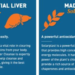 Viên uống thải độc gan Dr Tobias Liver 21 Day Cleanse 63 Capsules 23 vien uong thai doc gan dr tobias liver 21 day cleanse 63 capsules kk