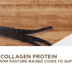 bot collagen protein bulletproof 500g vanilla kc