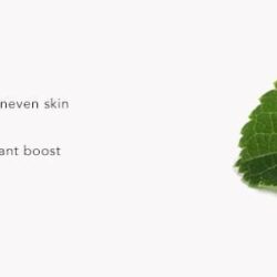 Sữa tắm giảm mụn Mario Badescu A.H.A Botanical Body Soap 472ml 19 sua tam giam mun mario badescu a h a botanical body soap 472ml kd