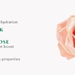 Toner dạng xịt Mario Badescu Facial Spray With Aloe, Herbs, Rosewater 236ml 10 toner dang xit mario badescu facial spray with aloe herbs rosewater 236ml kb