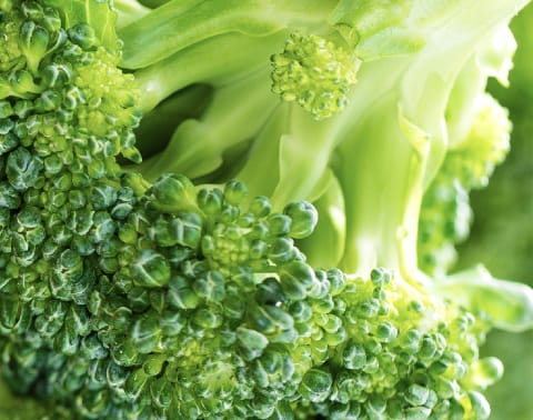 Bột trái cây và rau củ quả Terra Kai Organics Juce Garden Berry 345g 17 bot trai cay va rau cu qua terra kai organics juce garden berry 345g kn