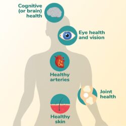 dau nhuyen the dau tom schiff megared superior omega 3 krill oil extra strength 500mg 80 softgels kj