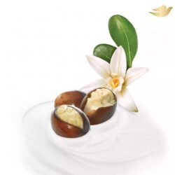 Sữa tắm Dove Purely Pampering Shea Butter & Warm Vanilla 500ml 9 sua tam dove purely pampering shea butter warm vanilla 1l kd