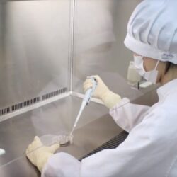 tiem curacen te bao goc nhau thai nhat ban curacen human placenta extract 2ml x 50 ong jbp seisan