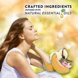 bo tinh dau thom cam dien air wick vanilla pink papaya essential oil 1 warmer 6 refills kc