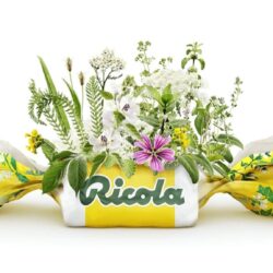 Kẹo thông cổ, mát họng Ricola không đường Ricola Lemon Mint Sugar Free 19 viên 8 keo thong co mat hong ricola khong duong ricola lemon mint sugar free 19 vien kc