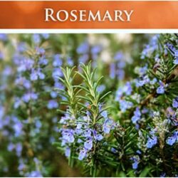 thao duoc ho tro khop chong viem natures lab whole body herbal complex 180 capsules kc