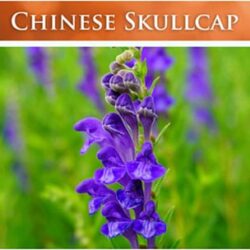 thao duoc ho tro khop chong viem natures lab whole body herbal complex 180 capsules kd