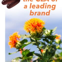 vien uong giam mo trunature tonalin cla 1620mg 180 vien kf