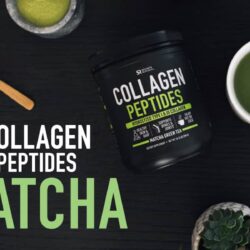 Bột uống Collagen thủy phân SR Collagen Peptides 288g (Matcha Green Tea) 12 bot uong collagen thuy phan sr collagen peptides 288g matcha green tea kb