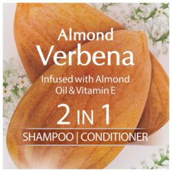 Dầu gội xả Suave Essentials 2 in 1 Shampoo Conditioner Almond Verbena 887ml 8 dau goi xa suave essentials 2 in 1 shampoo conditioner almond verbena 887ml kc