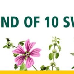 Kẹo thông cổ, mát họng Ricola nhân chanh mật ong Ricola Dual Action Honey Lemon 175 viên 12 keo thong co mat hong ricola nhan chanh mat ong ricola dual action honey lemon 175 vien ke
