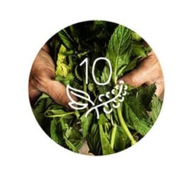 Kẹo thông cổ, mát họng Ricola nhân chanh mật ong Ricola Dual Action Honey Lemon 175 viên 13 keo thong co mat hong ricola nhan chanh mat ong ricola dual action honey lemon 175 vien kf