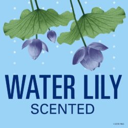 Lăn khử mùi Secret Waterlily 48 HR Clear Gel 73g 9 lan khu mui secret waterlily 48 hr clear gel 73g kb