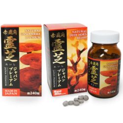 Nấm Linh chi sừng hươu cao cấp Nhật Bản Natural Deer Horn Reishi 240 viên 8 nam linh chi sung huou cao cap nhat ban natural deer horn reishi 240 vien kb