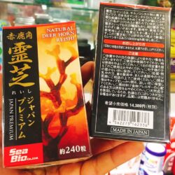 Nấm Linh chi sừng hươu cao cấp Nhật Bản Natural Deer Horn Reishi 240 viên 10 nam linh chi sung huou cao cap nhat ban natural deer horn reishi 240 vien kd