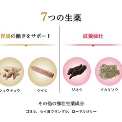 Thảo dược bổ gan dạng nước Hepalyse King Gold 50ml 10 thao duoc bo gan dang nuoc hepalyse king gold 50ml kd