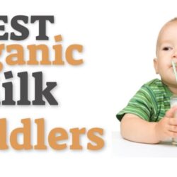 sua bot cho tre 1 tuoi tro len earths best organic toddler milk drink powder 658g kd