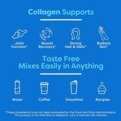 bot collagen khong duong orgain collagen zero protein powder chocolate 580g kb