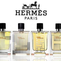 Nước hoa Hermes Terre D'Hermes Eau Intense Vetiver EDP 100ml (H Bottle) 6 nuoc hoa hermes terre dhermes eau intense vetiver edp 100ml h bottle ka