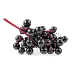 siro sambucol tang de khang sambucol black elderberry immune support 230ml x 2 chai kf