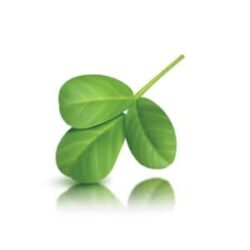 Viên uống lợi sữa, cân bằng đường huyết GNC Fenugreek 610mg 100 Capsules 7 vien uong loi sua can bang duong huyet gnc fenugreek 610mg 100 capsules ka