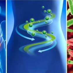 Viên uống lợi sữa, cân bằng đường huyết GNC Fenugreek 610mg 100 Capsules 11 vien uong loi sua can bang duong huyet gnc fenugreek 610mg 100 capsules kd